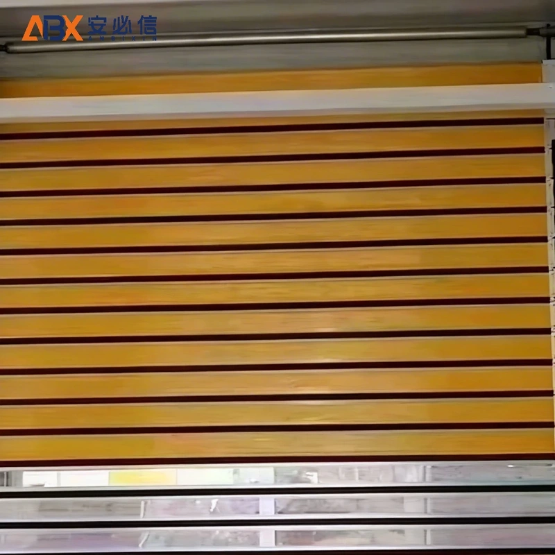 儋州感应高速门